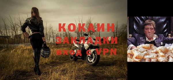 шишки Волоколамск