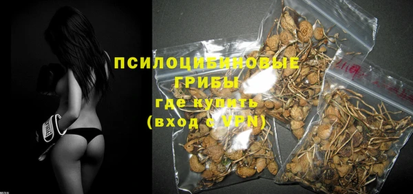 спайс Вяземский
