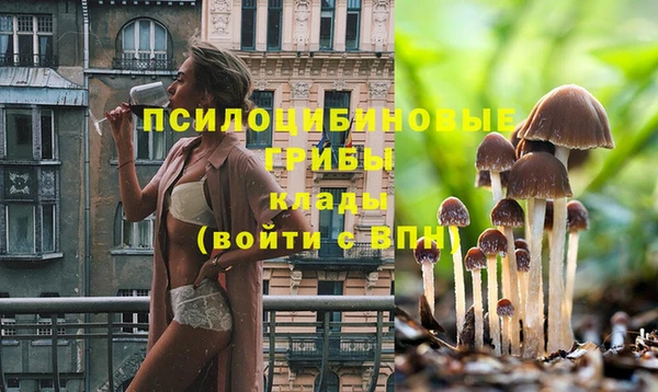 ECSTASY Вязники